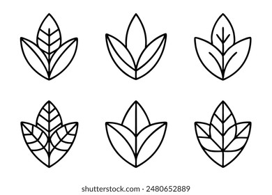 Leaves Line Art A Set of Illustrations