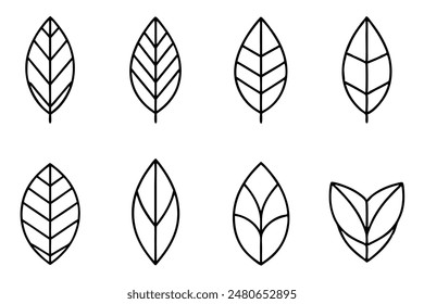 Leaves Line Art A Set of Illustrations