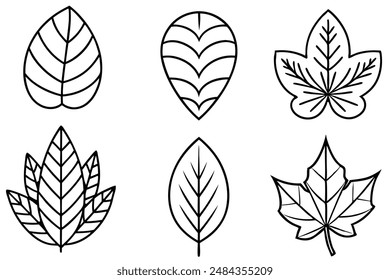 Leaves Line Art Stunning Black and White Leaf Illustration