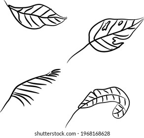 Leaves line art vector illustration black and white 