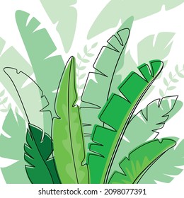 leaves line background nature grass