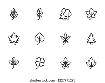 Leaves line icon set. Maple, oak, fir tree. Nature concept. Can be used for topics like forest, park, ecology