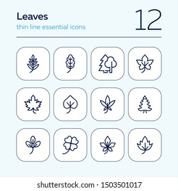 Leaves line icon set. Maple, oak, fir tree. Nature concept. Can be used for topics like forest, park, ecology