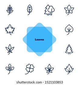 Leaves line icon set. Maple, oak, fir tree. Nature concept. Can be used for topics like forest, park, ecology