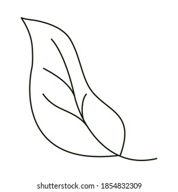 leaves line icon style, leaf botanic element vector illustration