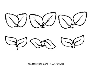 Leaves line icon vector set isolated on white background. Various shapes of black color leaves of trees and plants. Elements for eco and bio logo	