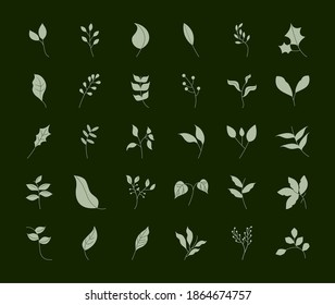 estilo de línea de hojas, ramas árbol hoja de planta fondo negro natural ilustración vectorial