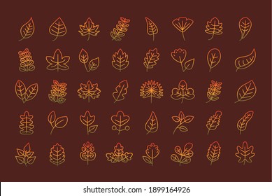 leaves line style icon collection design of Plant natural floral and theme Vector illustration