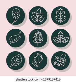 Leaves Line Style Icon Set Design Of Plant Natural Floral And Theme Vector Illustration