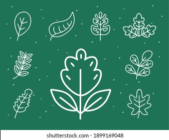 leaves line style symbol set design of Plant natural floral and theme Vector illustration