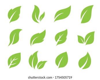 Leaves line vector icon set.  Leaf shapes design for logo and natural beauty design element. Vector illustration.