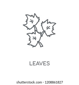 Leaves linear icon. Leaves concept stroke symbol design. Thin graphic elements vector illustration, outline pattern on a white background, eps 10.