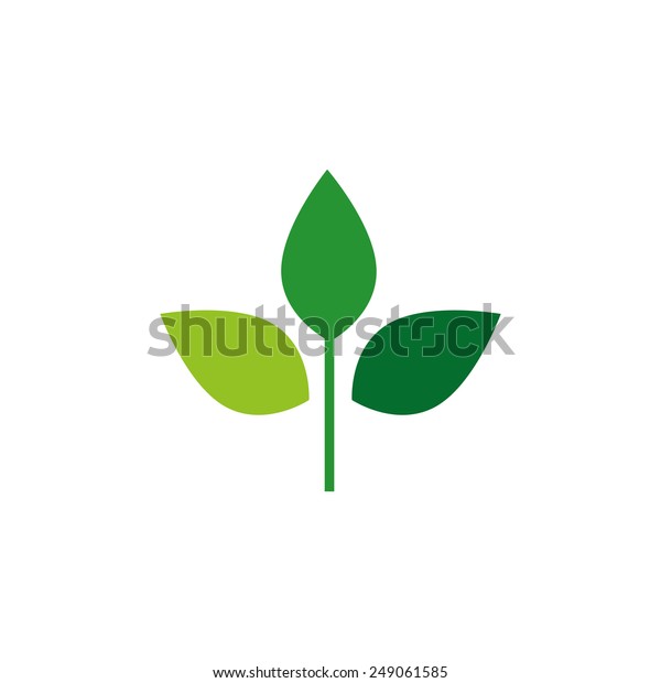 Leaves Logo Stock Vector (Royalty Free) 249061585