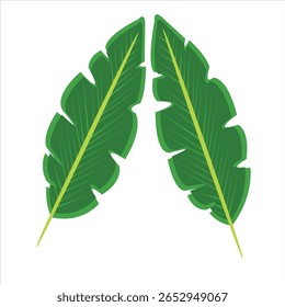 leaves logo design of company. leaves vector art illustration. leaves icon on white background