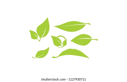leaves logo icon vector