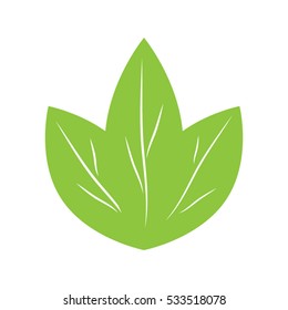 leaves logo, icon vector illustration EPS 10