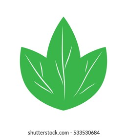 leaves logo, icon vector illustration EPS 10