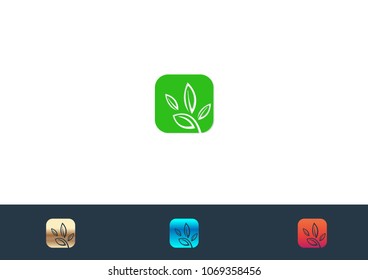 Leaves Logo Template vector icon illustration design