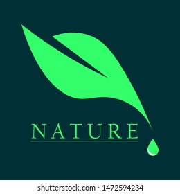 
leaves logo with water droplets , Abstract green leaf logo icon vector design , nature logo