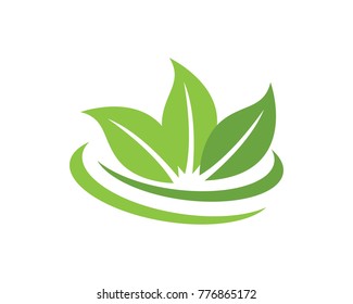 leaves logos template symbol