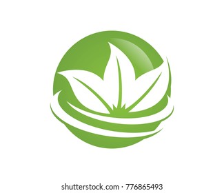 leaves logos template symbol