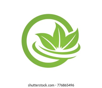 leaves logos template symbol