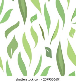 the leaves are long olive patern