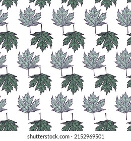 Leaves maple canadian engraved seamless pattern. Vintage background botanical with foliage in hand drawn style. Vector repeated color design texture for print, fabric, wrapping, wallpaper, tissue.