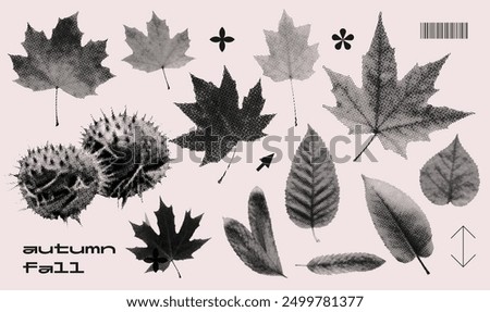 Leaves, maple leaf, chestnut isolated stippling stamps set. Grunge autumn season retro halftone dotted texture vintage magazine style collage elements for mixed media design pop art tree leaves