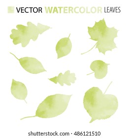 Leaves (maple, linden, oak etc.). Watercolor. Vector set. Use for illustrations and decorations of magazine, advertisement, letter, banner etc. Eps 10