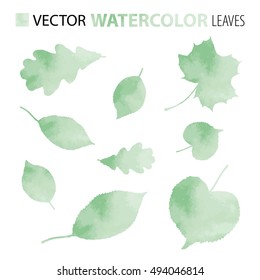 Leaves (maple, linden, oak etc.). Watercolor. Dark green. Vector set. Use for illustrations and decorations of magazine, advertisement, letter, banner etc. Eps 10