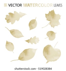 Leaves (maple, linden, oak etc.). Watercolor. Vector set. Use for illustrations and decorations of magazine, advertisement, letter, banner etc. Eps 10
