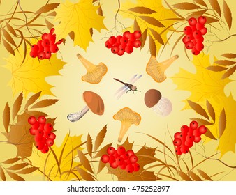 the leaves of the maple, mountain ash branches, mushrooms and a dragonfly on a yellow background.Card with autumn theme.