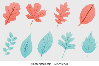 Leaves model ,fantasy leaves background template vector illustration flat design