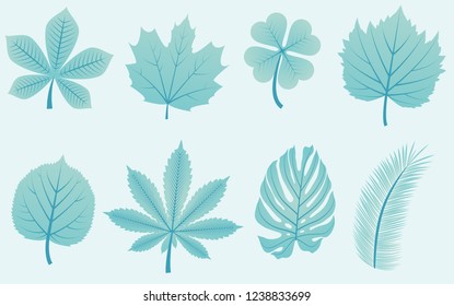 Leaves model ,fantasy leaves background template vector illustration flat design