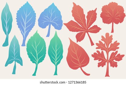 Leaves model ,fantasy leaves background template vector illustration flat design