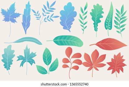 Leaves model ,fantasy leaves background template vector illustration flat design