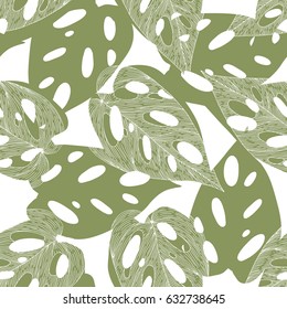leaves monstera tropical pattern