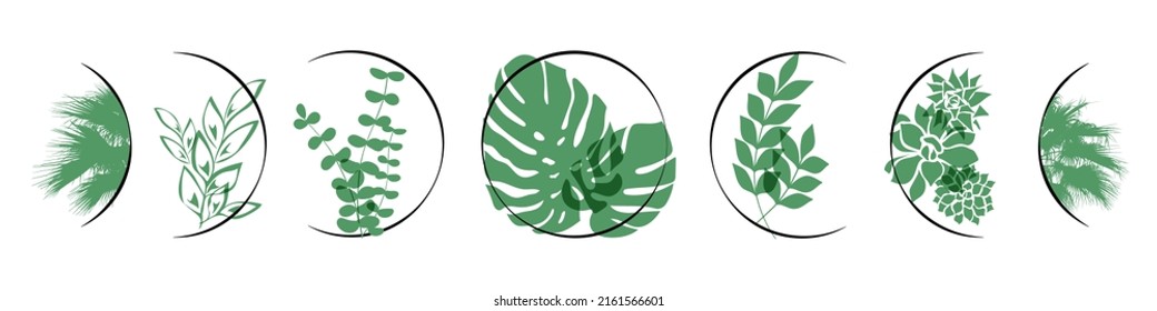 Leaves moon phase decor on white. Plant moon bedroom wall art. Green tropical leaf moon phase. Summer botanical set. 