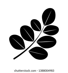 leaves of moringa vector illustration, with silhouette style