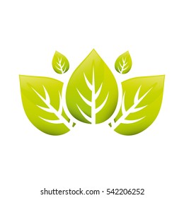 Leaves natural concept icon vector illustration graphic design