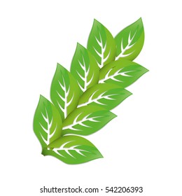 Leaves natural concept icon vector illustration graphic design