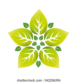 Leaves natural concept icon vector illustration graphic design