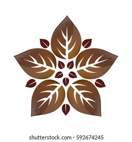Leaves natural concept icon vector illustration graphic design