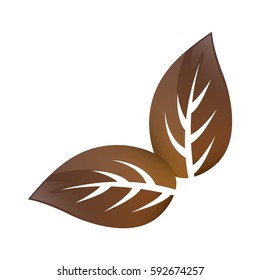 Leaves natural concept icon vector illustration graphic design