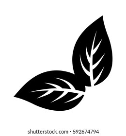 Leaves natural concept icon vector illustration graphic design