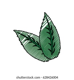 Leaves natural ecology