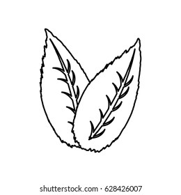 Leaves natural ecology