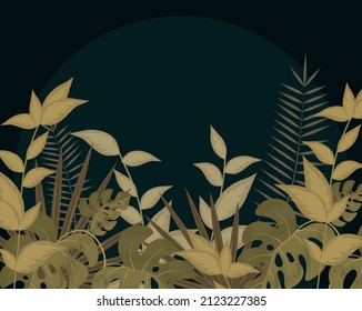 deja a la naturaleza un diseño de fondo oscuro
