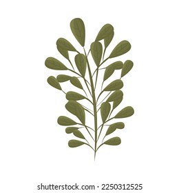 deja el icono de la naturaleza aislado